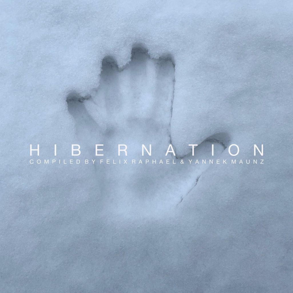 VA - Hibernation (Part 1) [DTZ137]